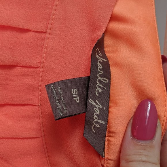 Charlie Jade Pleated Chiffon Maxi Skirt - Picture 3 of 3